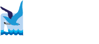 providence it chi-siamo 002